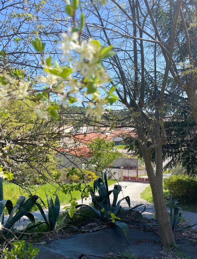 Apartament Au Perchoir Caunes-Minervois Zewnętrze zdjęcie