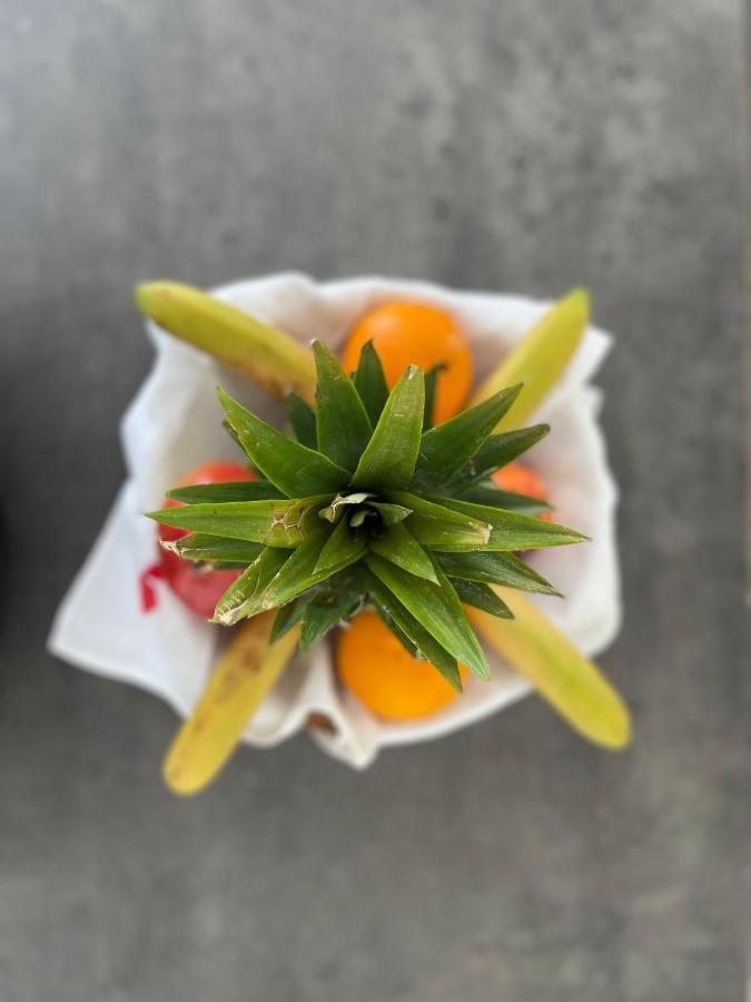 Apartament Au Perchoir Caunes-Minervois Zewnętrze zdjęcie